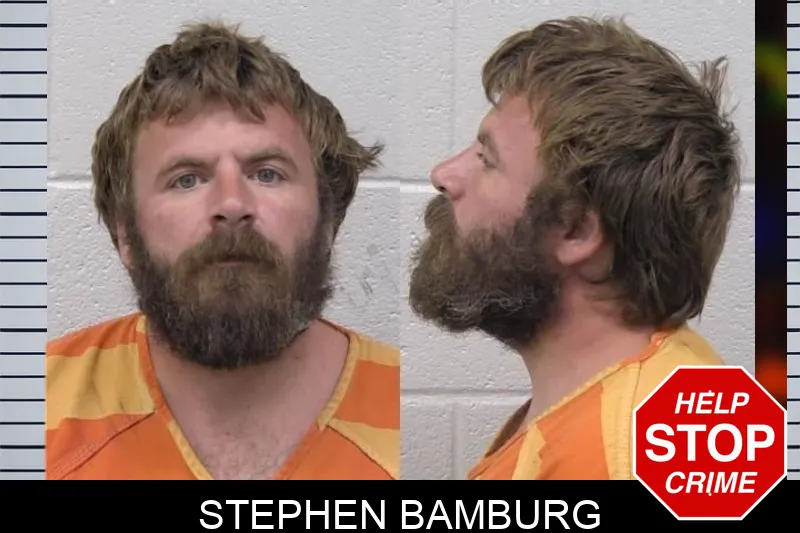 Stephen Bamburg mugshot – Paulding County , Georgia Stephen Bamburg mugshot