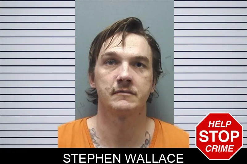 Stephen Wallace mugshot