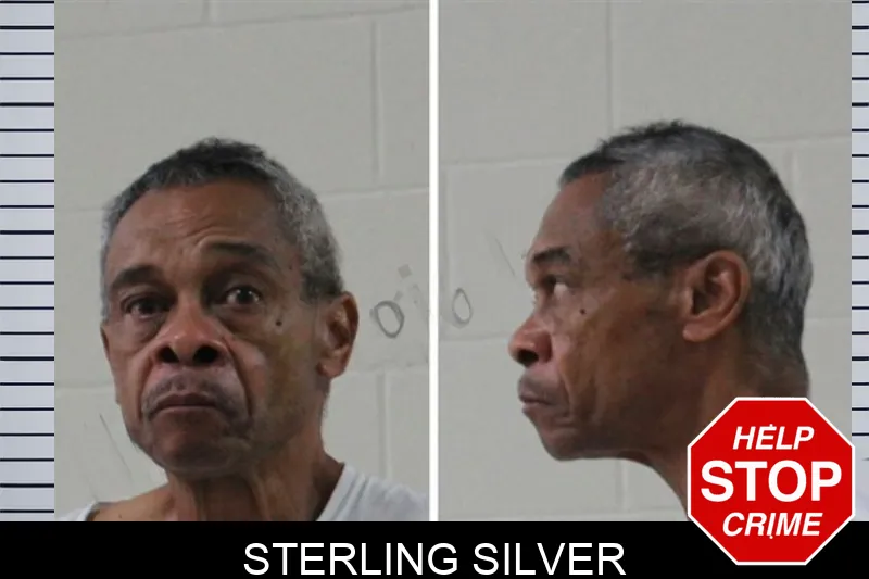 Sterling Silver mugshot