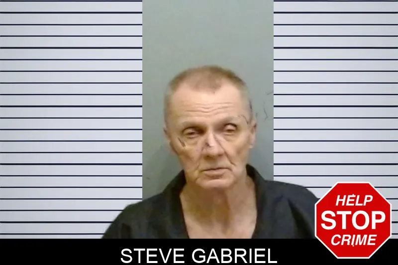 Steve Gabriel mugshot – Fulton County , Georgia Steve Gabriel mugshot