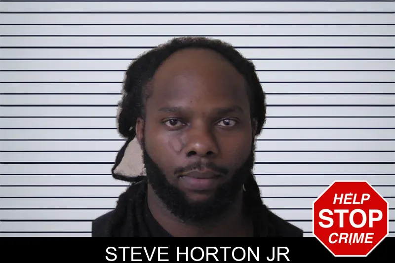 Steve Horton Jr mugshot