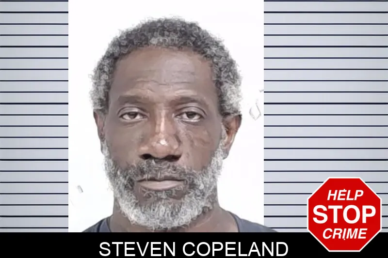 Steven Copeland mugshot – Lowndes County , Georgia Steven Copeland mugshot