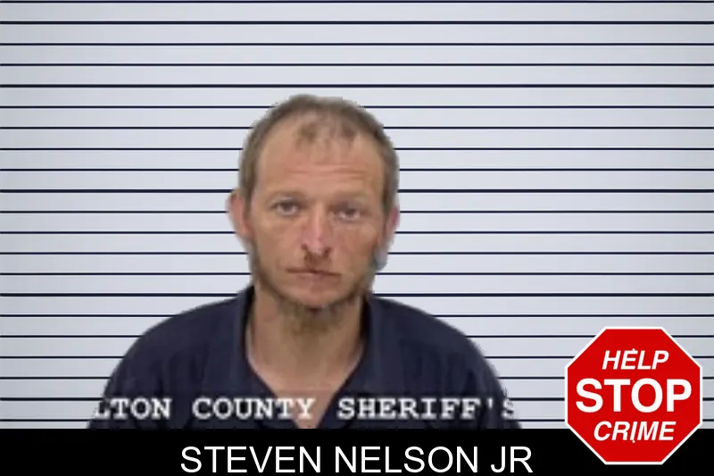 Steven Nelson Jr mugshot