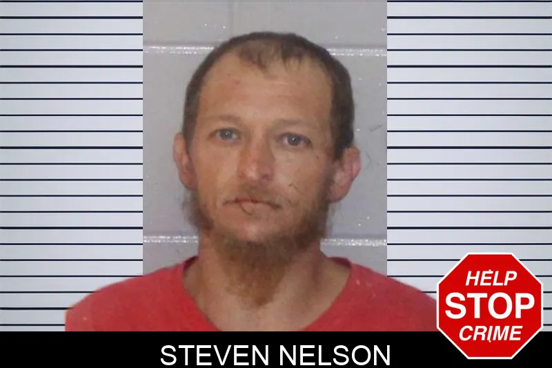 Steven Nelson mugshot