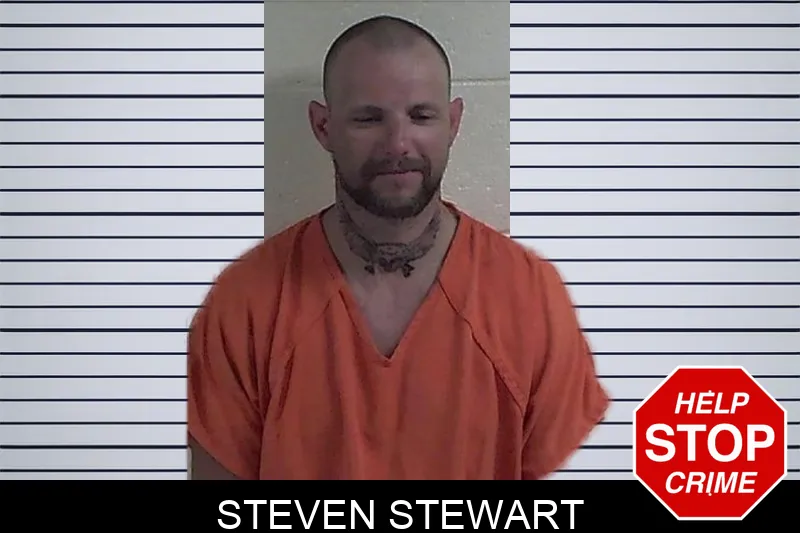 Steven Stewart mugshot – Fannin County , Georgia Steven Stewart mugshot