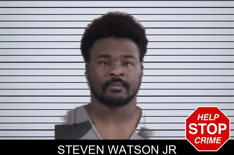 Steven Watson Jr mugshot