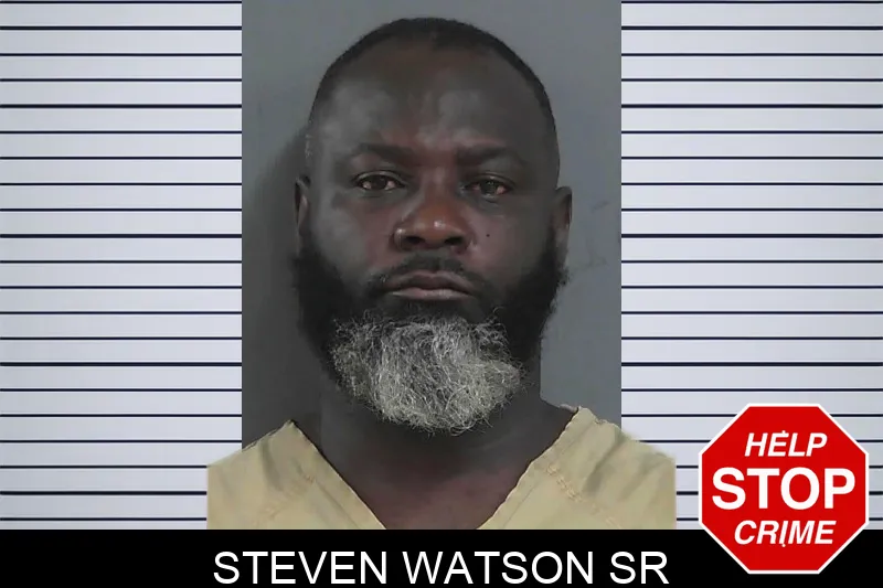 Steven Watson Sr mugshot