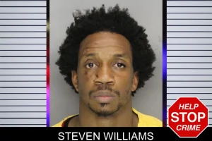 Steven Williams mugshot