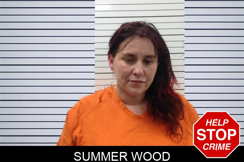 Summer Wood mugshot