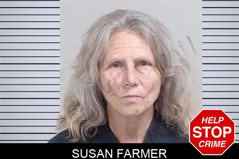 Susan Farmer mugshot