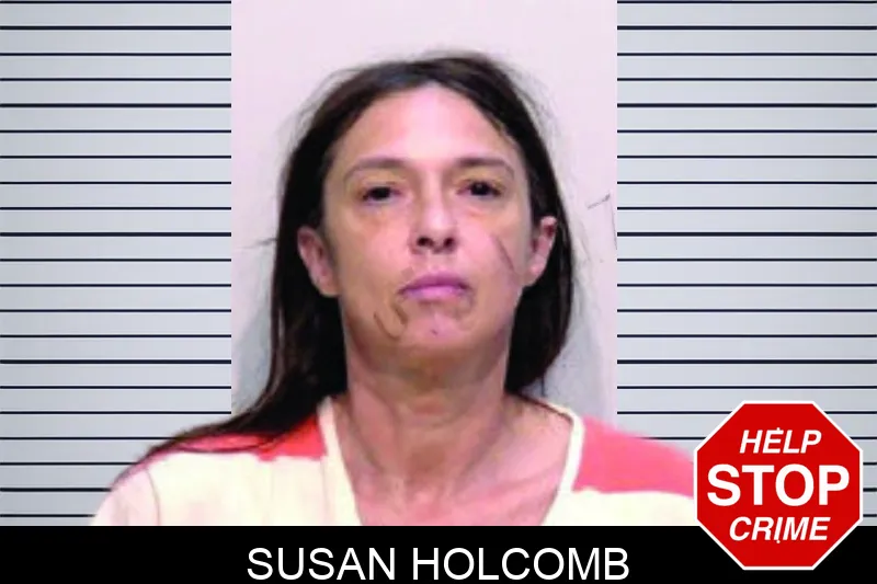 Susan Holcomb mugshot – Bartow County , Georgia Susan Holcomb mugshot