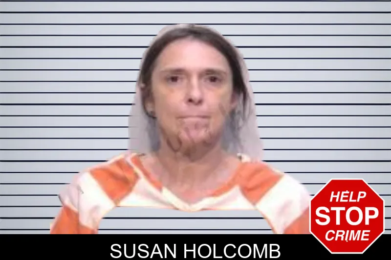 Susan Holcomb mugshot