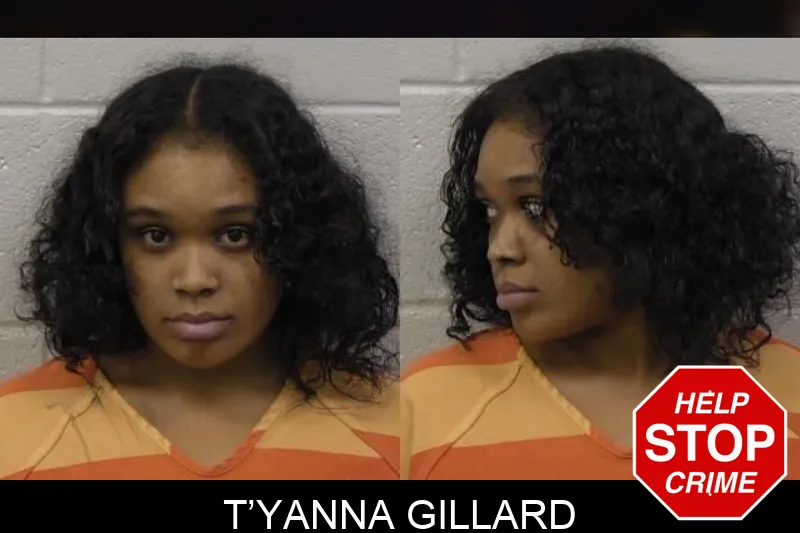 T’Yanna Gillard mugshot – Paulding County , Georgia T’Yanna Gillard mugshot