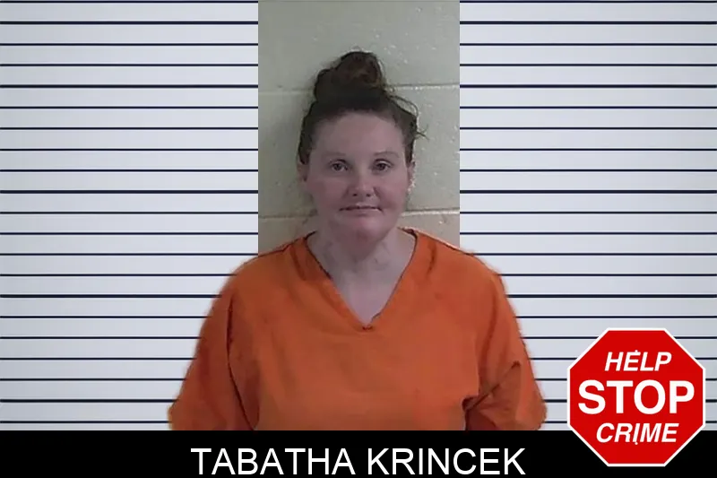 Tabatha Krincek mugshot – Fannin County , Georgia Tabatha Krincek mugshot