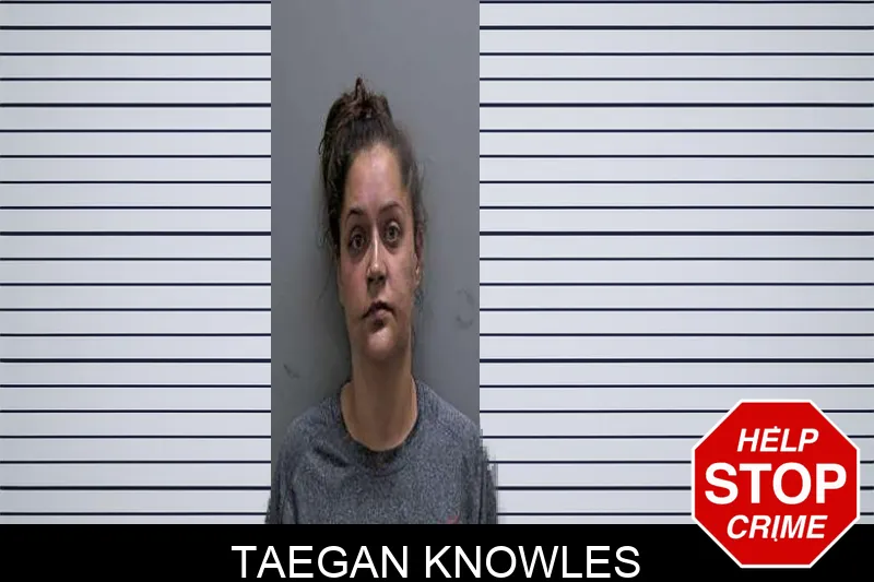 Taegan Knowles mugshot