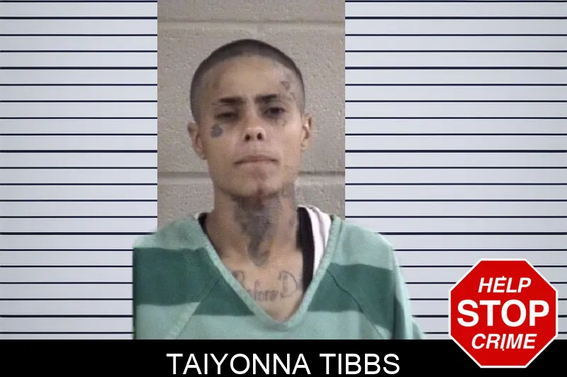 Taiyonna Tibbs mugshot – Whitfield County , Georgia Taiyonna Tibbs mugshot