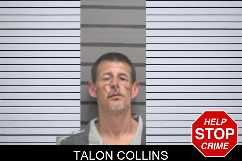 Talon Collins mugshot