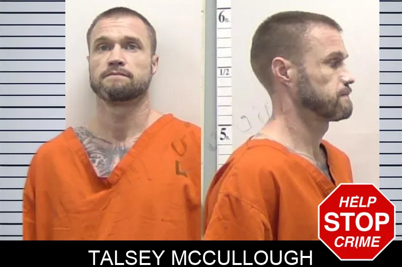 Talsey McCullough mugshot – Clarke County , Georgia Talsey McCullough mugshot