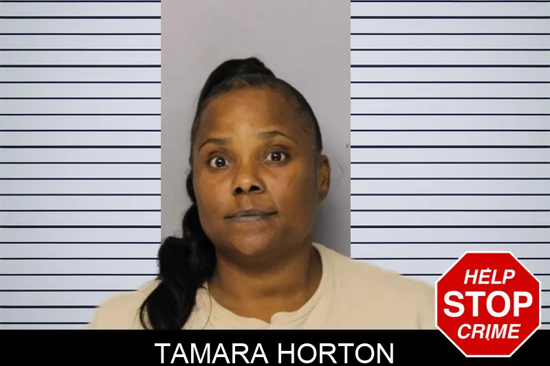 Tamara Horton mugshot