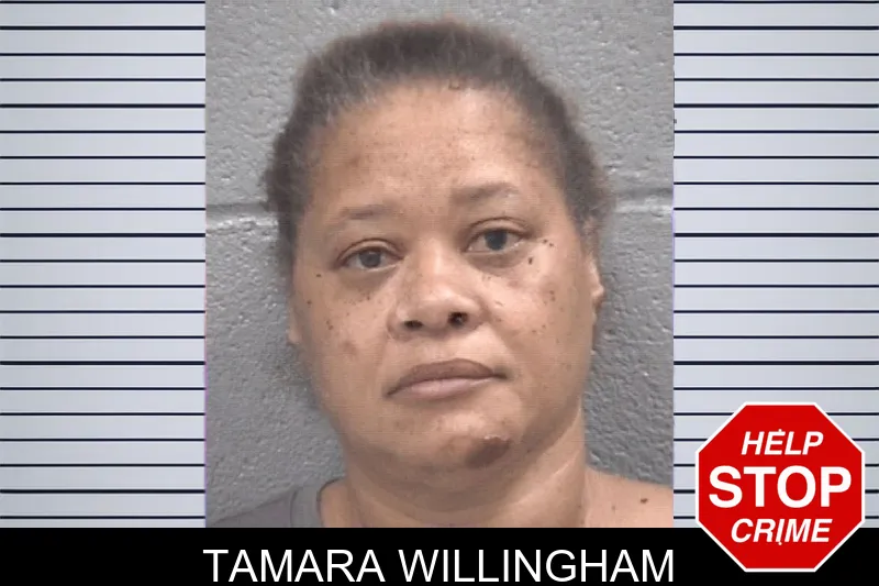 Tamara Willingham mugshot