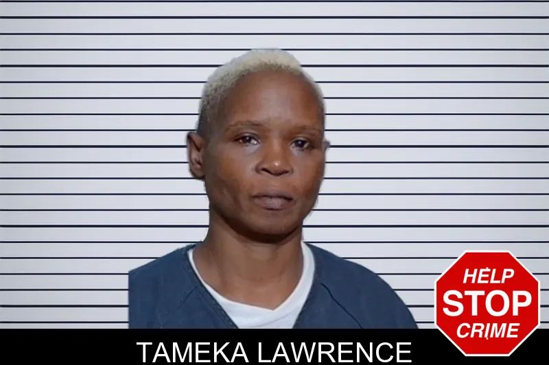 Tameka Lawrence mugshot