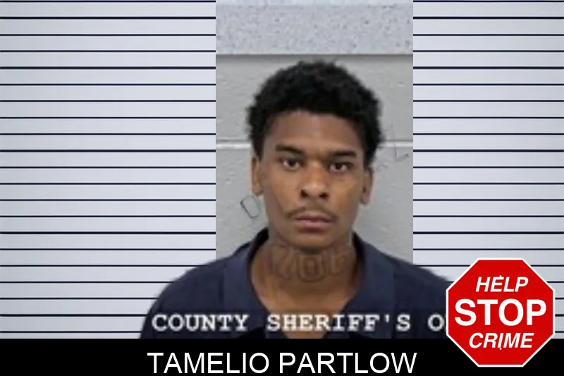 Tamelio Partlow mugshot