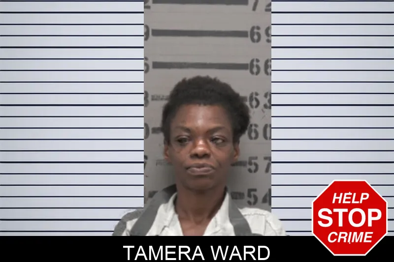 Tamera Ward mugshot
