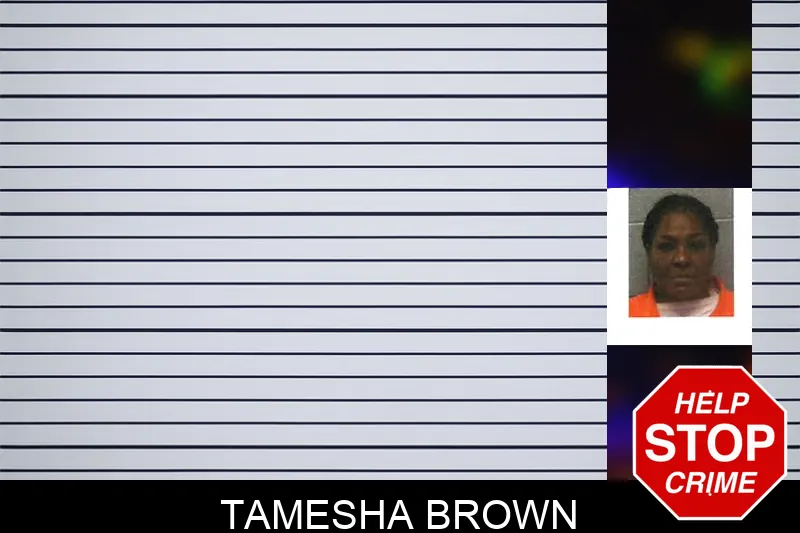 Tamesha Brown mugshot