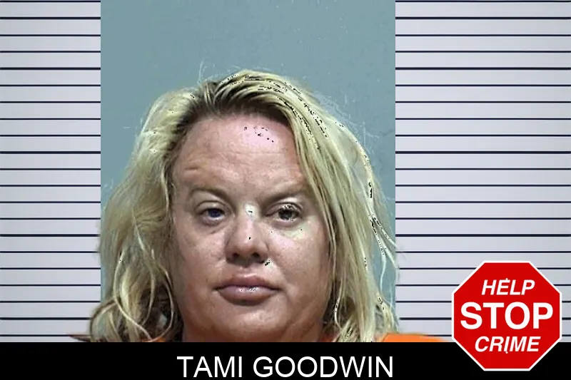Tami Goodwin mugshot