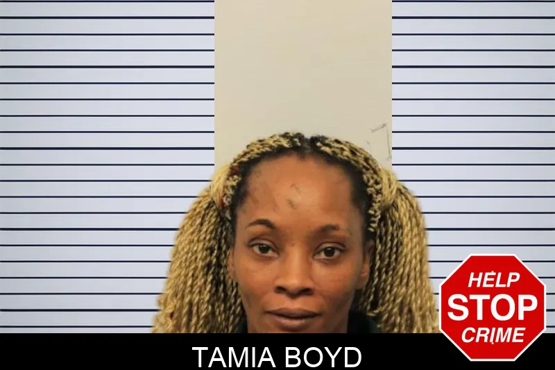 Tamia Boyd mugshot – Chatham County , Georgia Tamia Boyd mugshot