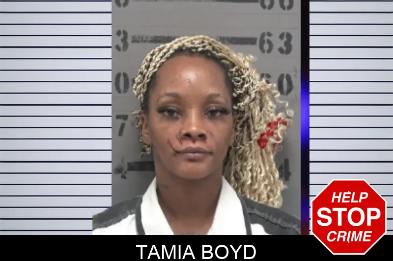 Tamia Boyd mugshot