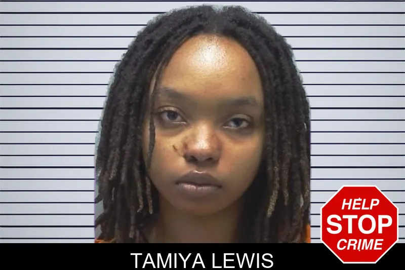Tamiya Lewis mugshot – Cherokee County , Georgia Tamiya Lewis mugshot
