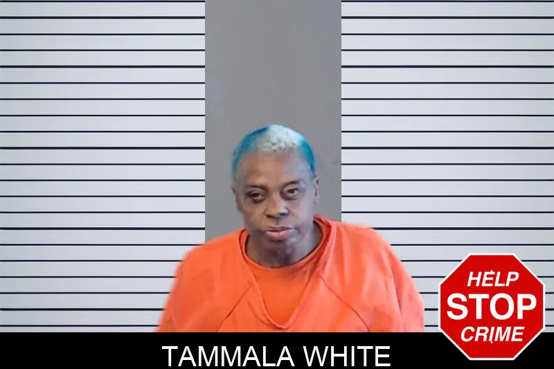 Tammala White mugshot – DeKalb County , Georgia Tammala White mugshot
