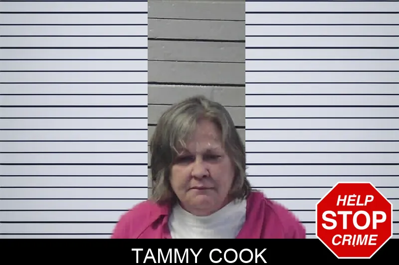 Tammy Cook mugshot