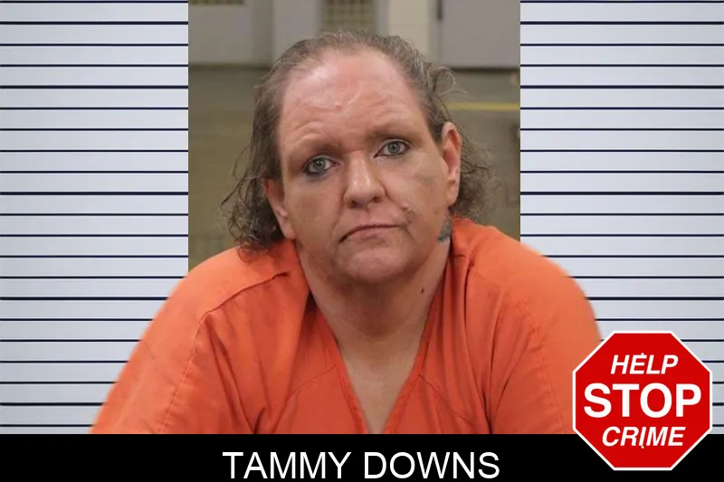 Tammy Downs mugshot – Heard County , Georgia Tammy Downs mugshot