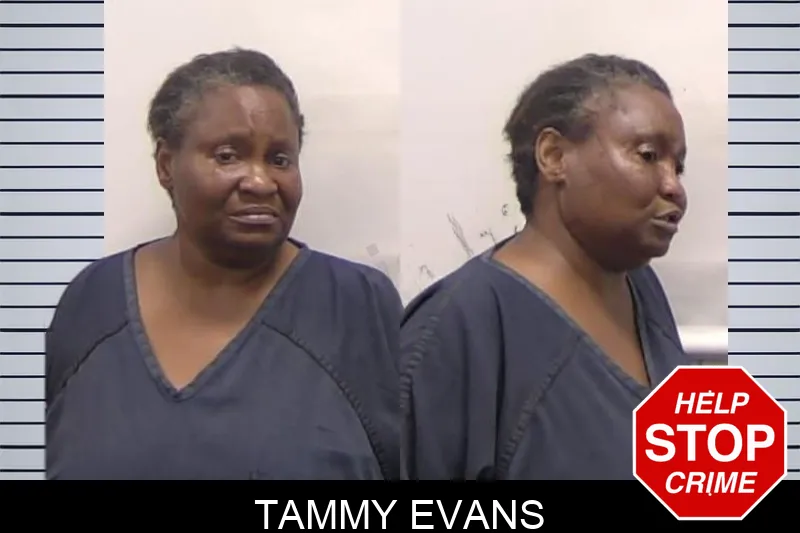 Tammy Evans mugshot
