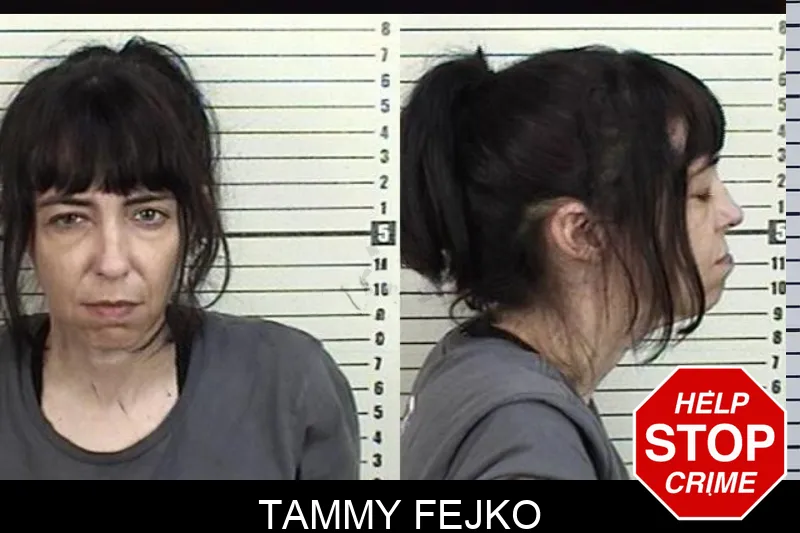 Tammy Fejko mugshot