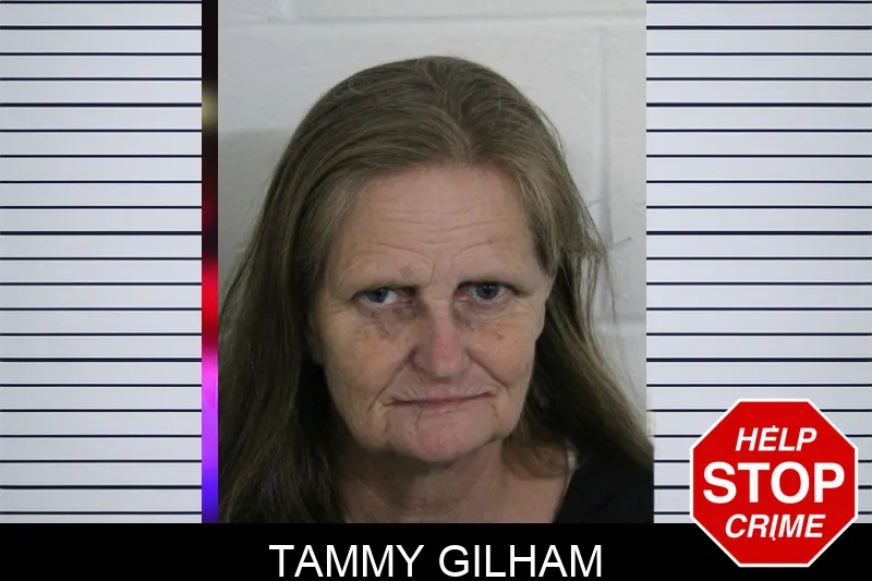 Tammy Gilham mugshot