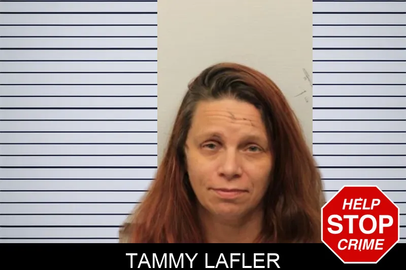 Tammy Lafler mugshot