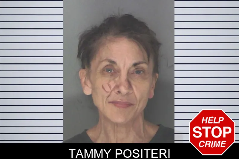 Tammy Positeri mugshot – Douglas County , Georgia Tammy Positeri mugshot