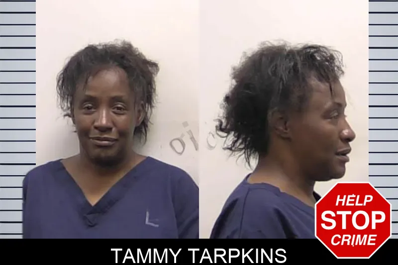 Tammy Tarpkins mugshot