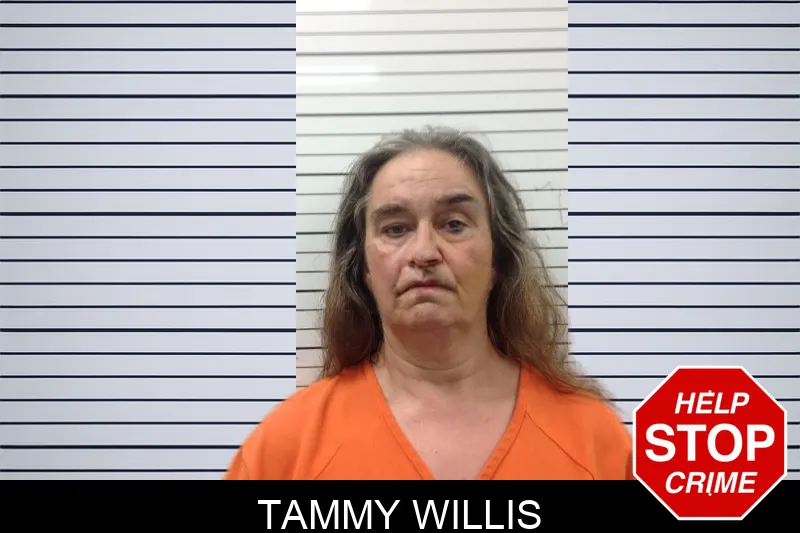 Tammy Willis mugshot – Pickens County , Georgia Tammy Willis mugshot