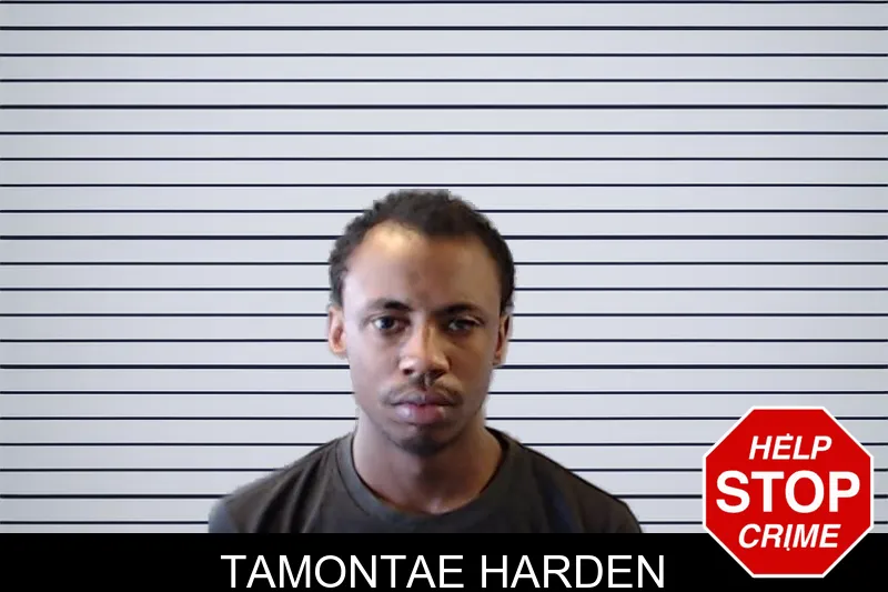 Tamontae Harden mugshot