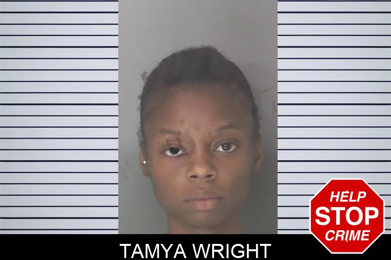 Tamya Wright mugshot – Douglas County , Georgia Tamya Wright mugshot