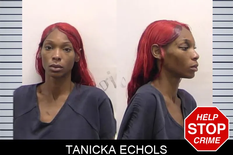Tanicka Echols mugshot