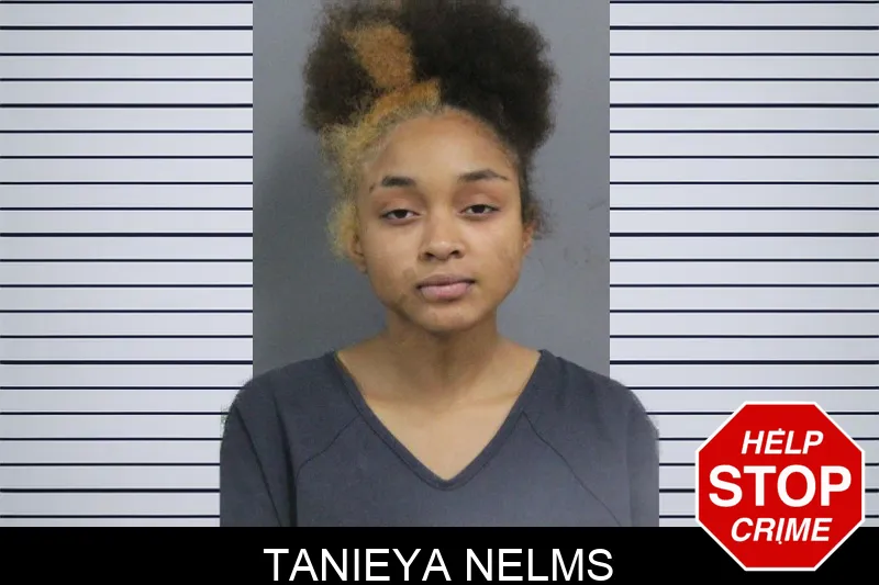 Tanieya Nelms mugshot – Catoosa County , Georgia Tanieya Nelms mugshot
