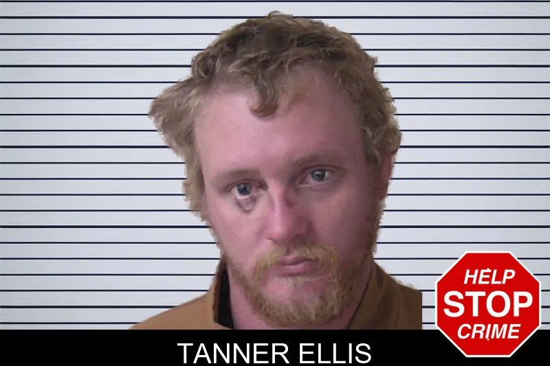 Tanner Ellis mugshot