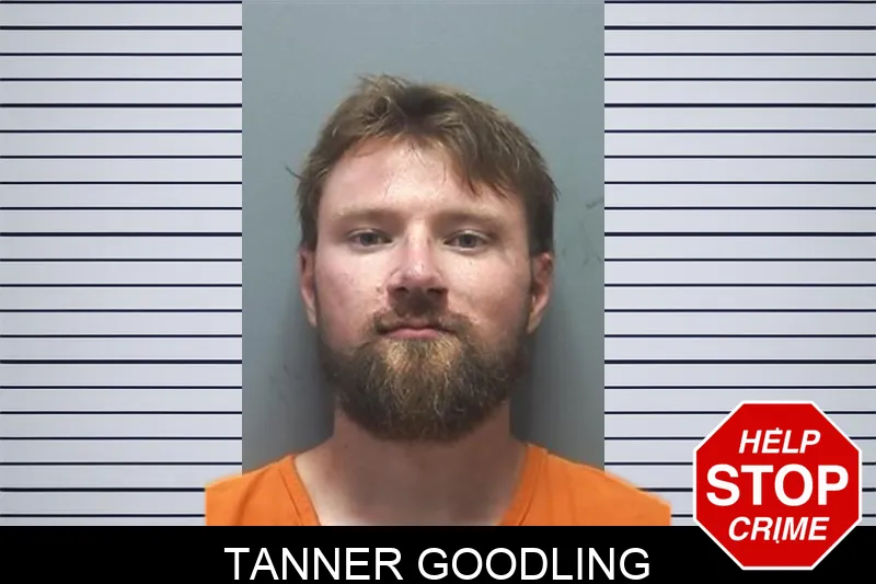 Tanner Goodling mugshot