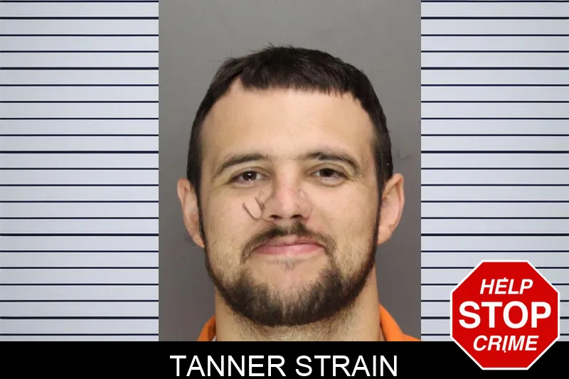 Tanner Strain mugshot