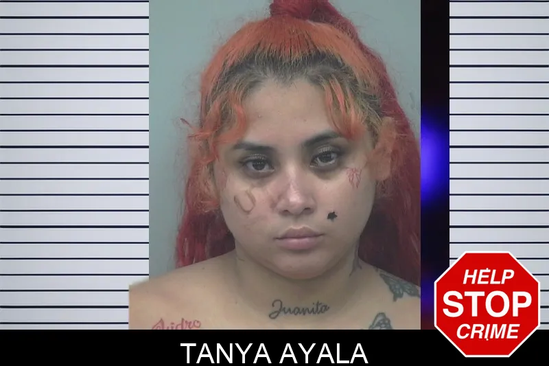 Tanya Ayala mugshot – Gwinnett County , Georgia Tanya Ayala mugshot